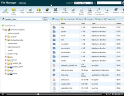 cPanel Hosting Secrets Revealed